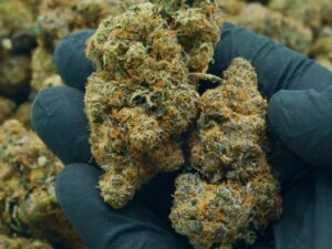 Thin Mint Cookies For Sale