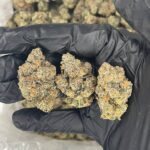 Buy Gary Payton Buds online