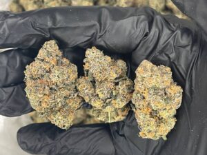 Buy Gary Payton Buds online