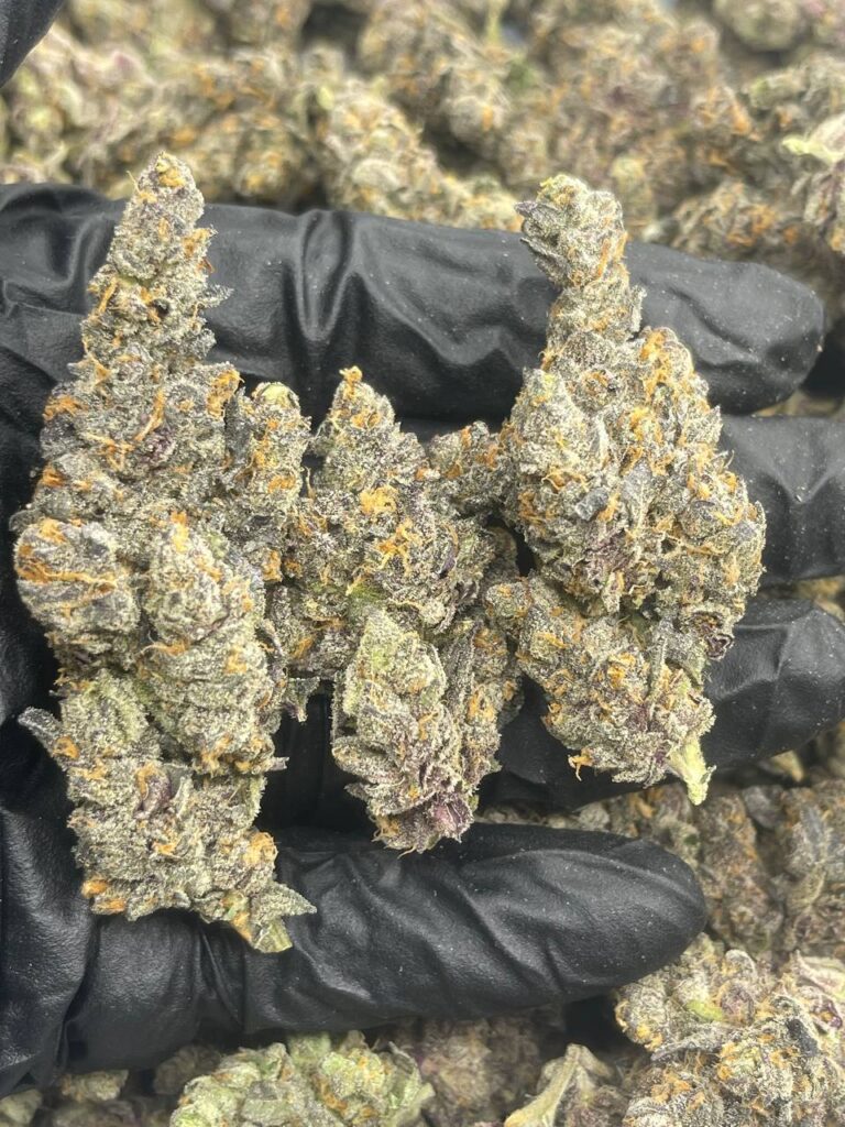 London Poundcake xx Jealousy