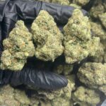 London Poundcake Weed Online