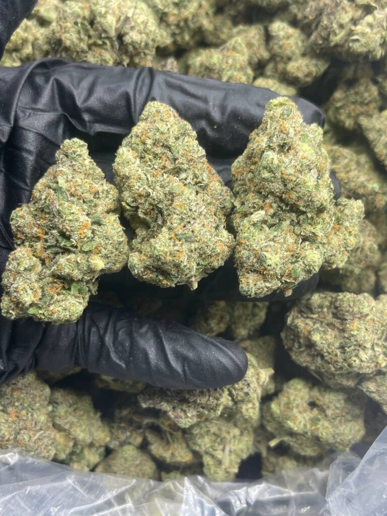 London Poundcake Weed Online