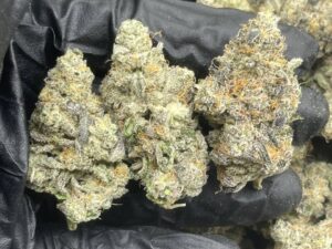 House Exotics Mint Strain