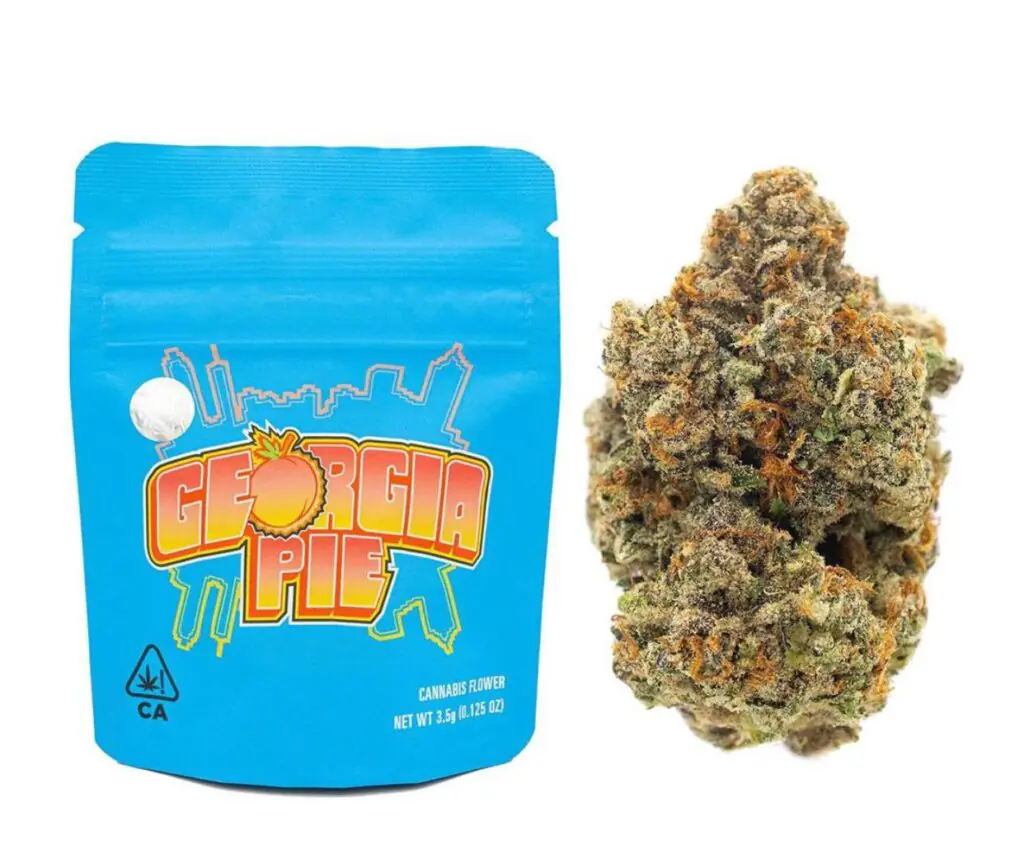 Georgia pie strain 2024