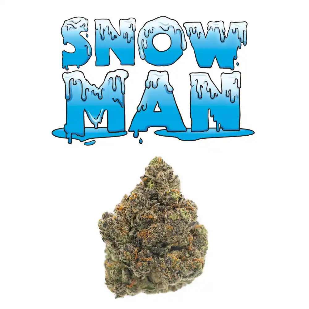 Snowman strain For Sale