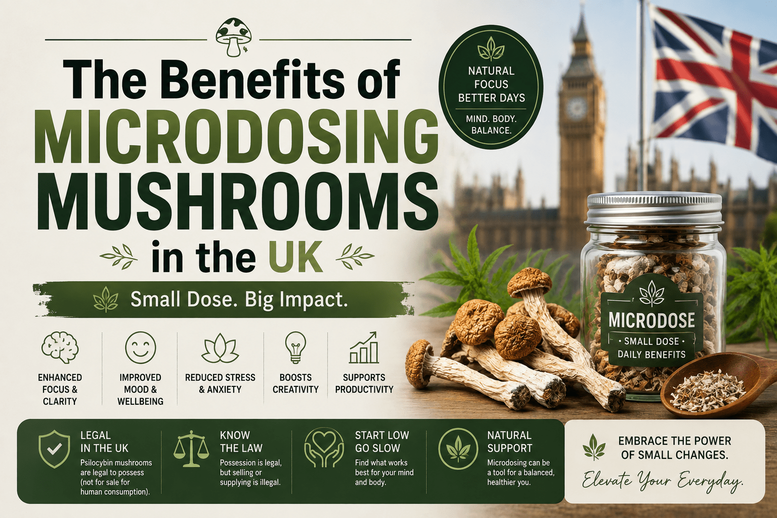 The Benefits of Microdosing Mushrooms in the UK
