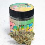 Zourz Runtz Strain: Buy Online | Potent Hybrid (Up to 30% THC)