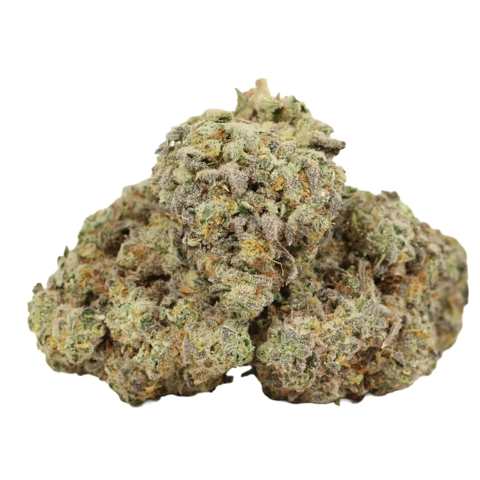 Black Cherry Soda Premium Hybrid Online For Sale - Image 1