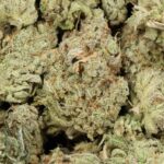 Black Gas AAAA+ Premium Indica Craft Online For Sale - Image 2