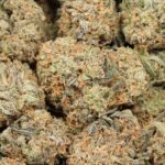 Gelato Premium Hybrid Online For Sale - Image 3