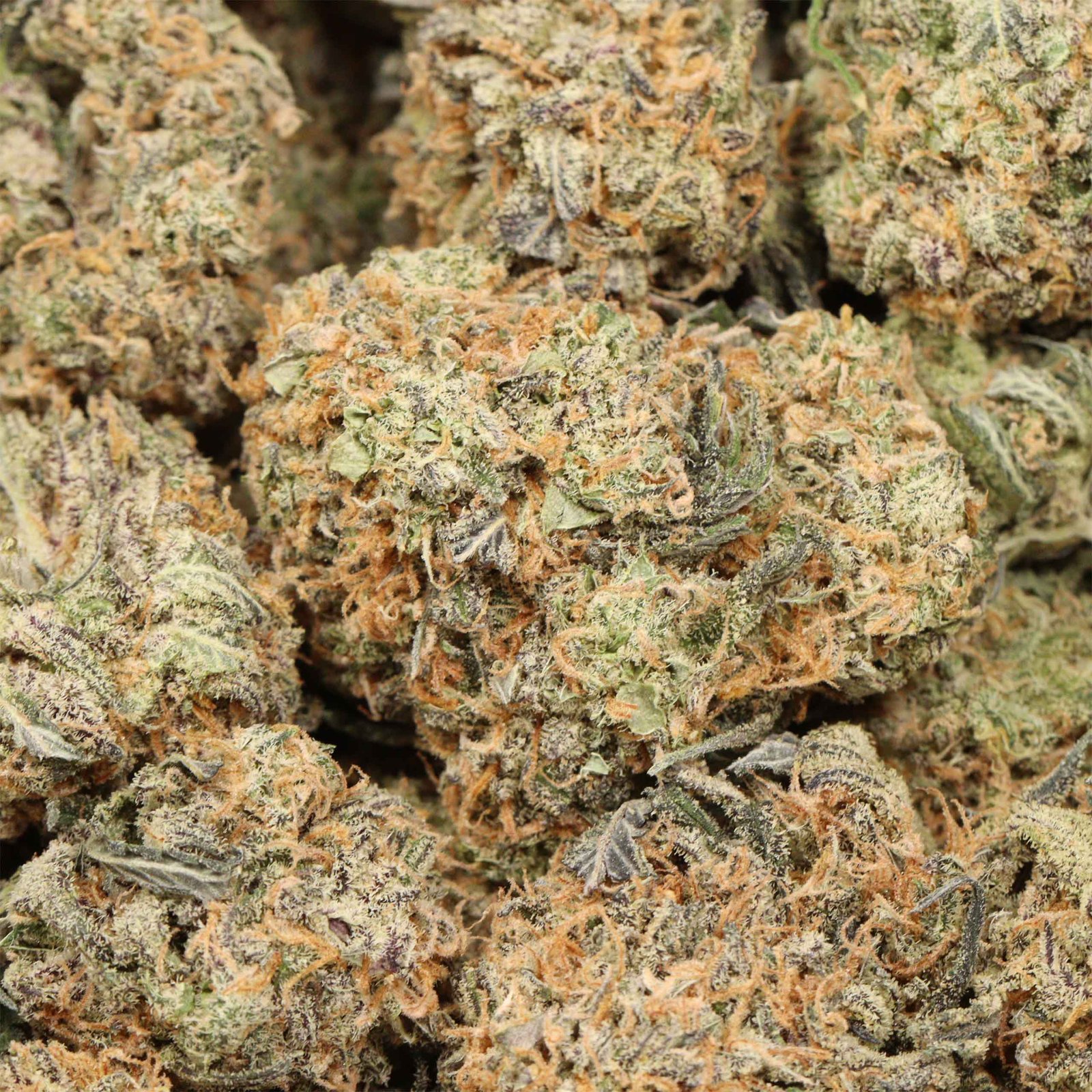 Gelato Premium Hybrid Online For Sale - Image 3