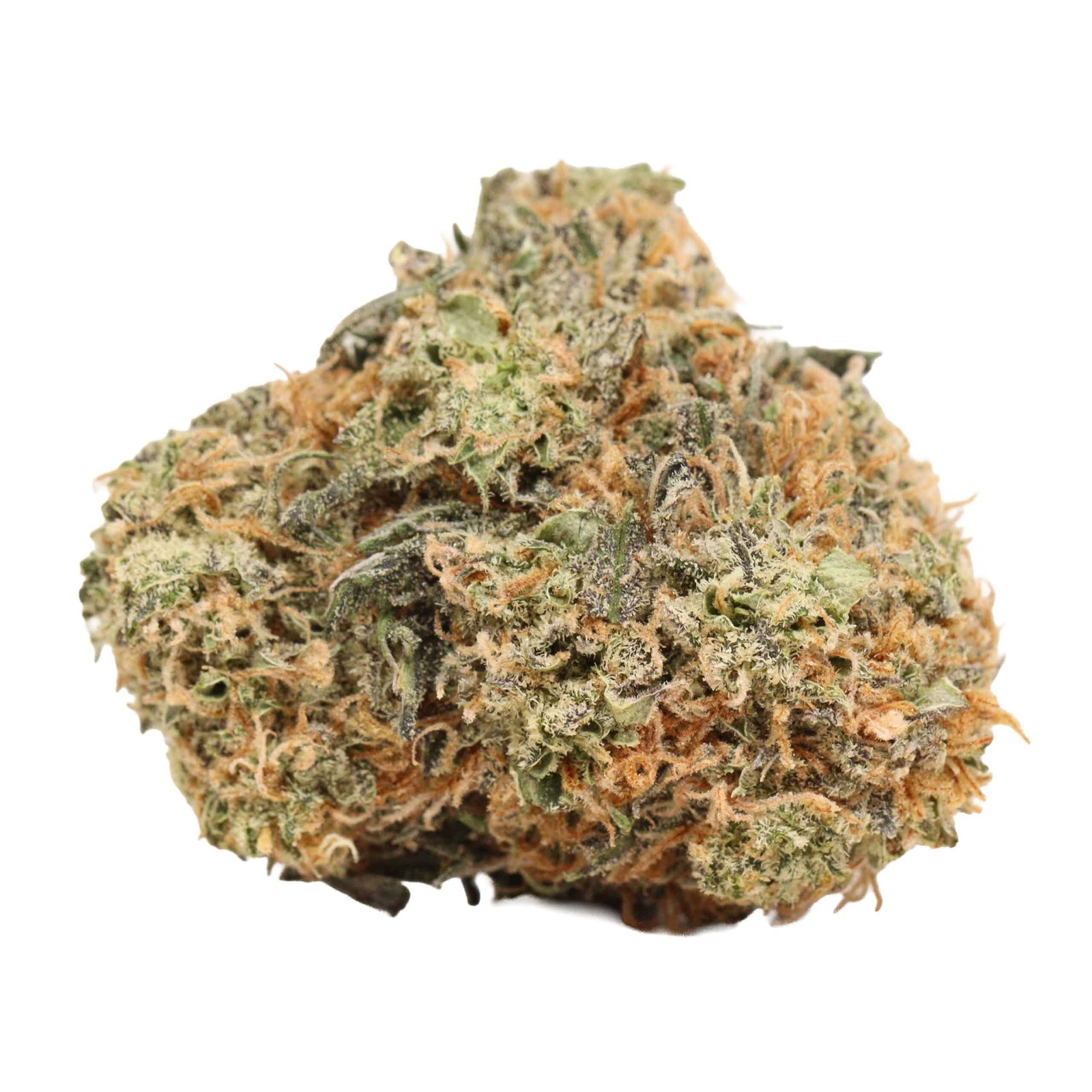 Gelato Premium Hybrid Online For Sale - Image 2