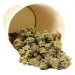 Mixed Strain Popcorn Buds Premium Hybrid Online For Sale