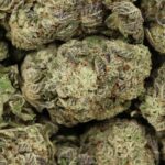 Purple Kush Premium Indica Online For Sale - Image 3