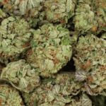 BC Pink Kush Premium Hybrid Online For Sale - Image 3