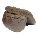 Orca Hash Concentrate Premium Hybrid Online For Sale