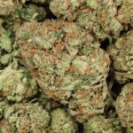 Hawaiian Runtz Premium Hybrid Online For Sale