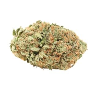 Ultra Pink Premium Hybrid Online For Sale - Image 3