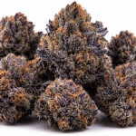 41 Cherries Strain