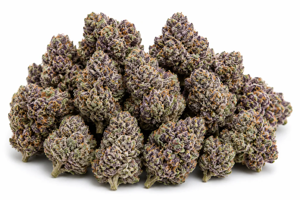 Buy Black Cherry Gelato Weed Strain Online