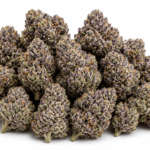 Black Cherry Gelato Strain