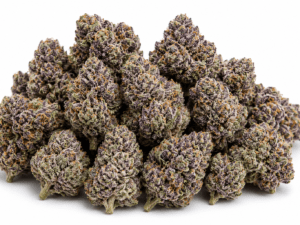 Buy Black Cherry Gelato Weed Strain Online