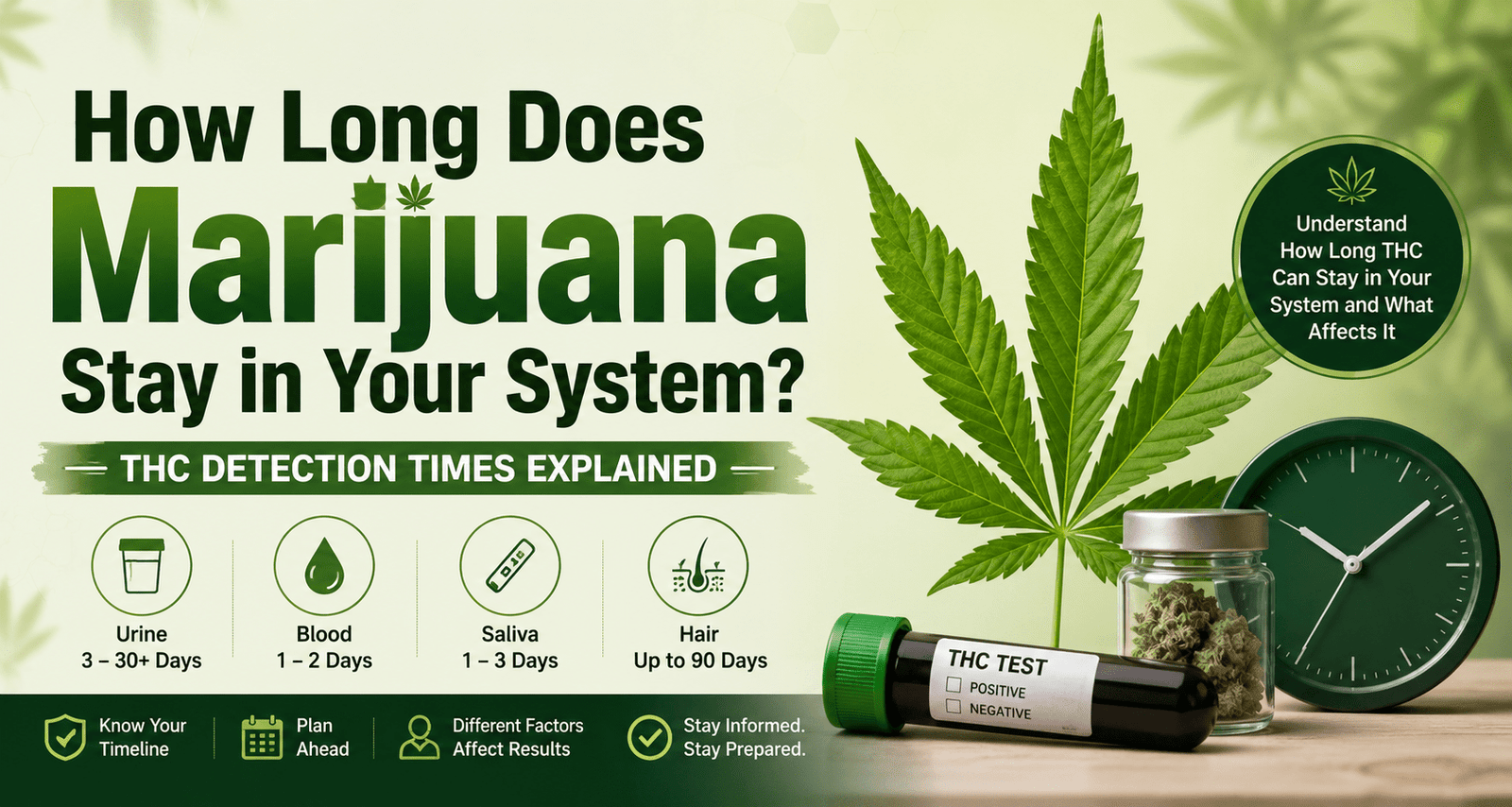 How Long Does Marijuana Stay in Your System? THC Detection Times Explained