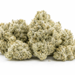 White Gummies Strain