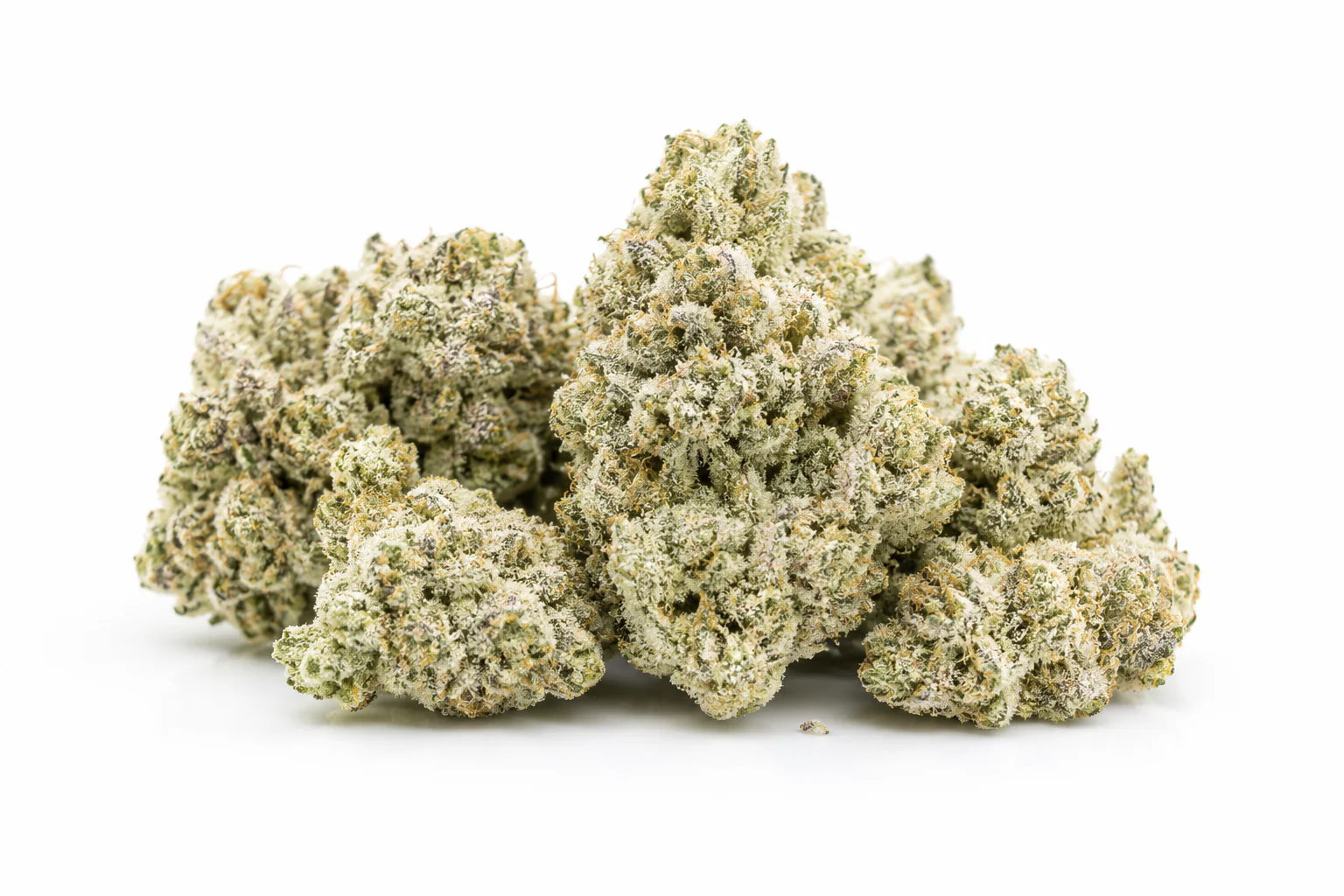 ChatGPT-Image-May-16-2026-04_32_14-AM.png Buy White Gummies Weed Strain 2026
