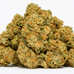 Buy Ice Cream Cake Weed Strain Online