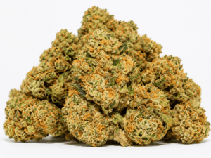 Buy Ice Cream Cake Weed Strain Online