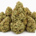 Motorbreath Strain