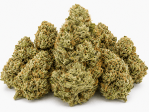Buy Motorbreath Weed Strain Online