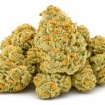 Buy Strawberry Guava Weed Strain Online