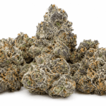 Apple Fritter Strain