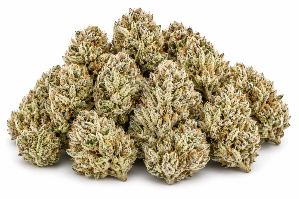 Buy Biscotti Weed Strain Online 2026