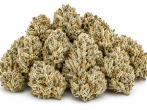 Buy Biscotti Weed Strain Online 2026