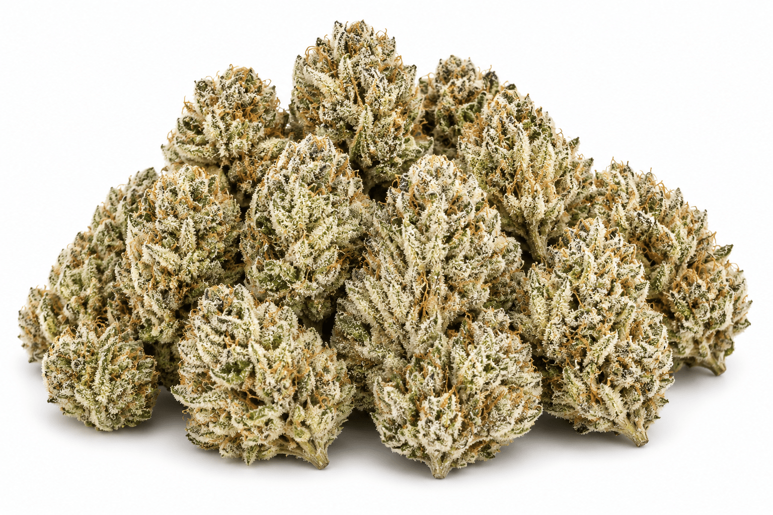 biscotti-strain.png Biscotti Strain - Image 1