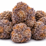 Bubblegum Runtz Strain