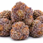 Buy Bubblegum Runtz Weed Strain Online