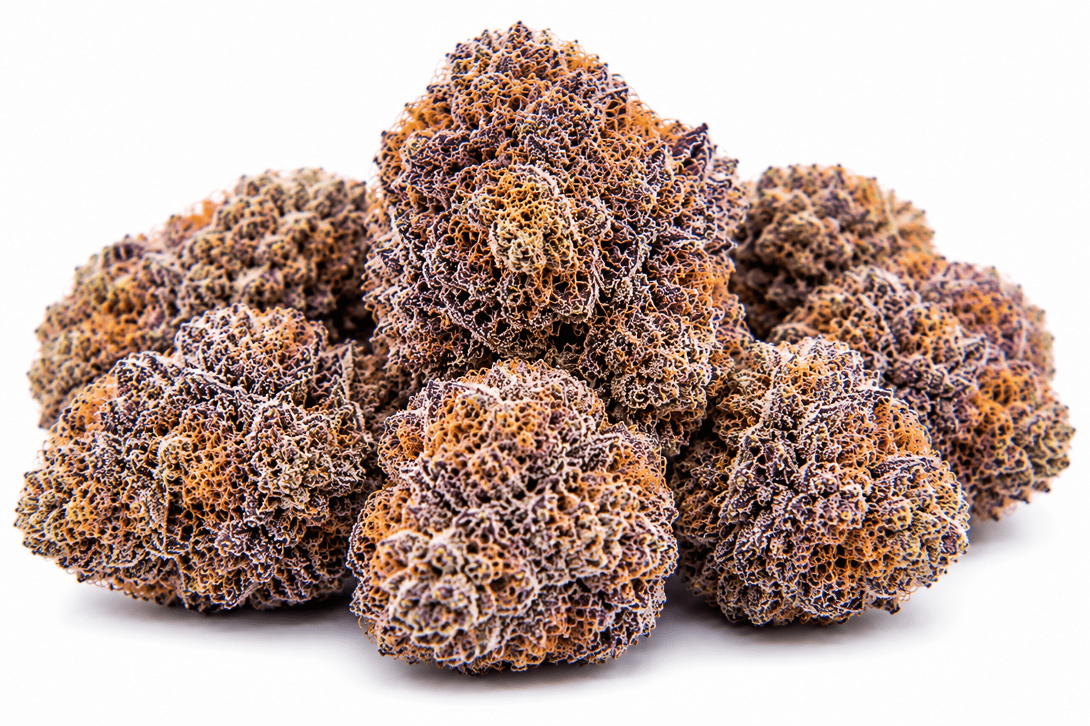 bubblegum-runtz-strain.png Bubblegum Runtz Strain - Image 1