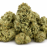 Cherry Pie Strain