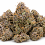 Cookies and Cream Strain