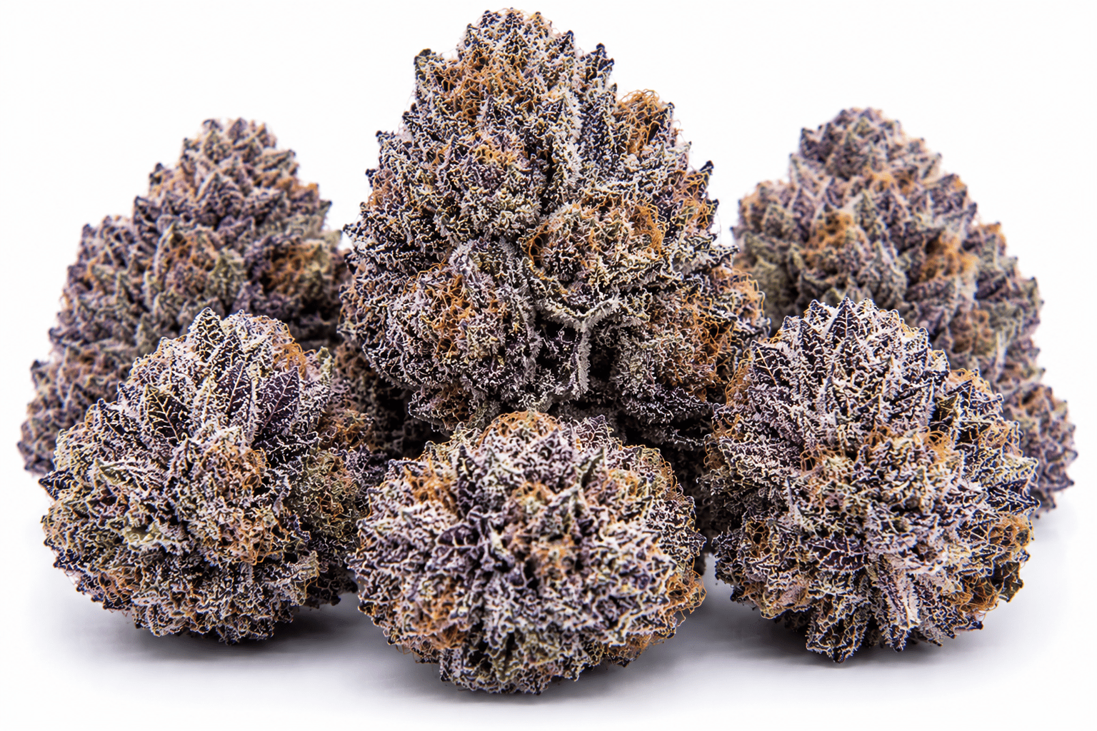 frozen-grapes-strain.png Frozen Grapes Strain - Image 1