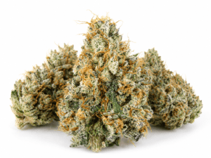 Buy Gary Payton Weed Strain Online 2026
