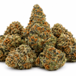 Gelonade Strain
