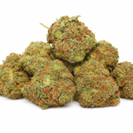 Georgia Pie Strain