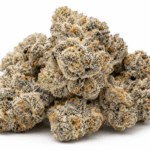 Glitter Bomb Strain