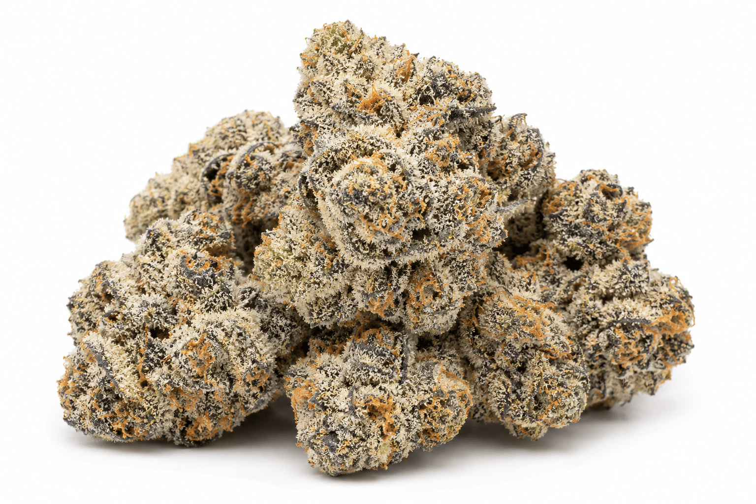 glitter-bomb-strain.png Glitter Bomb Strain - Image 1