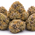 Guava Cake Strain